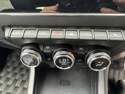 �A���J�i�@�V�����Îԁ@
