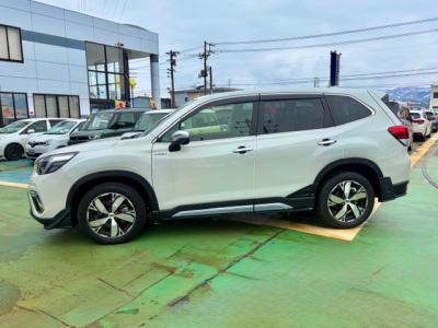 �t�H���X�^�[�@�V�����Îԁ@H30�N����������ݼޡ�V�݂�ʲ��د�����ق�2L�ݼ�݂�Ӱ����CVT�ŔR���WLTC14.0km/L������́������(ڰ�ް��ڰ��ڰ�ް�ٰ��C)��LEDͯ��ײā�18�����Ё�F��ܰ���&˰���ق���߼�݂́�STi��ہ���ܰ�ޯ��ޱ��8�������پ��TV���ޯ���ׁ�ETC���t���Ă��܂�!